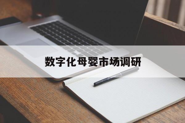 吐鲁番市数字化母婴市场调研(数字化母婴市场调研报告)