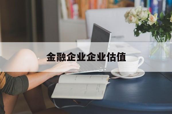 吐鲁番市金融企业企业估值(最新企业估值怎么填)
